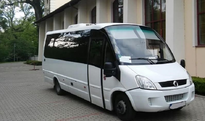 Timiș County: Bus order in Timișoara in Timișoara and Romania