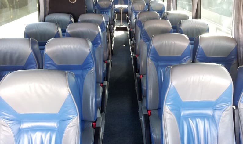 Romania: Coaches hire in Timiș County in Timiș County and Timișoara