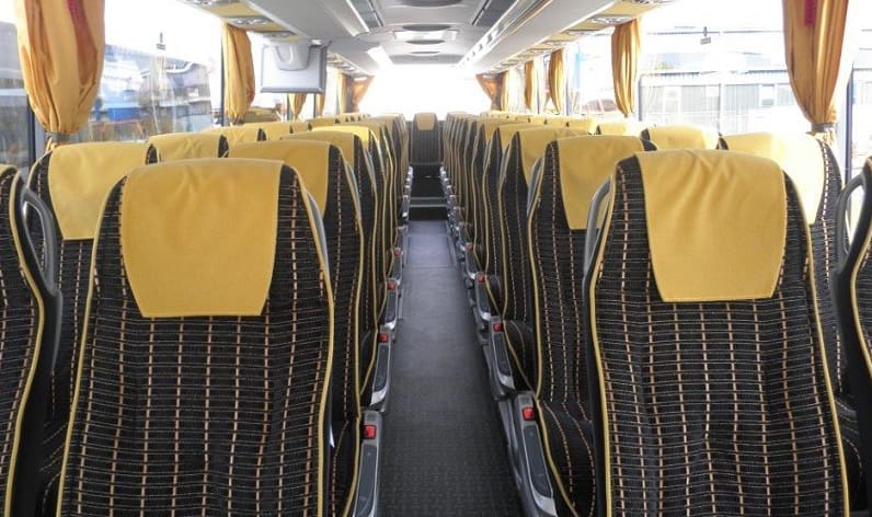 Romania: Coaches reservation in Timiș County in Timiș County and Lugoj